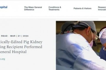全球首例豬腎移植患者死亡，異種移植再現(xiàn)“活不過倆月”魔咒