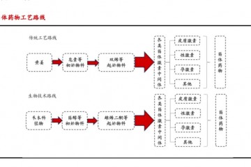 甾體藥物龍頭，開啟第二成長曲線
